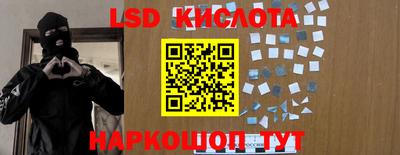 спайс Кандалакша