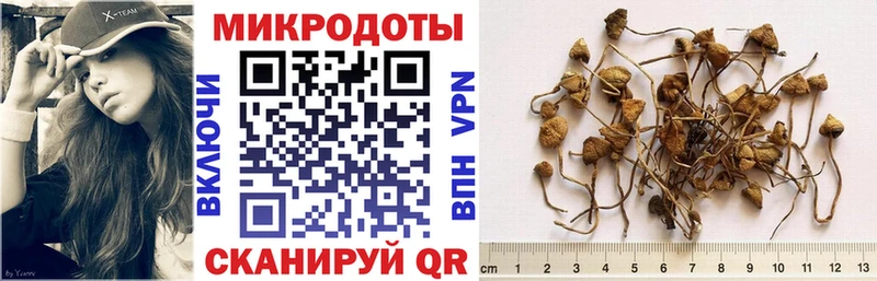Галлюциногенные грибы Magic Shrooms  закладки  Иваново 
