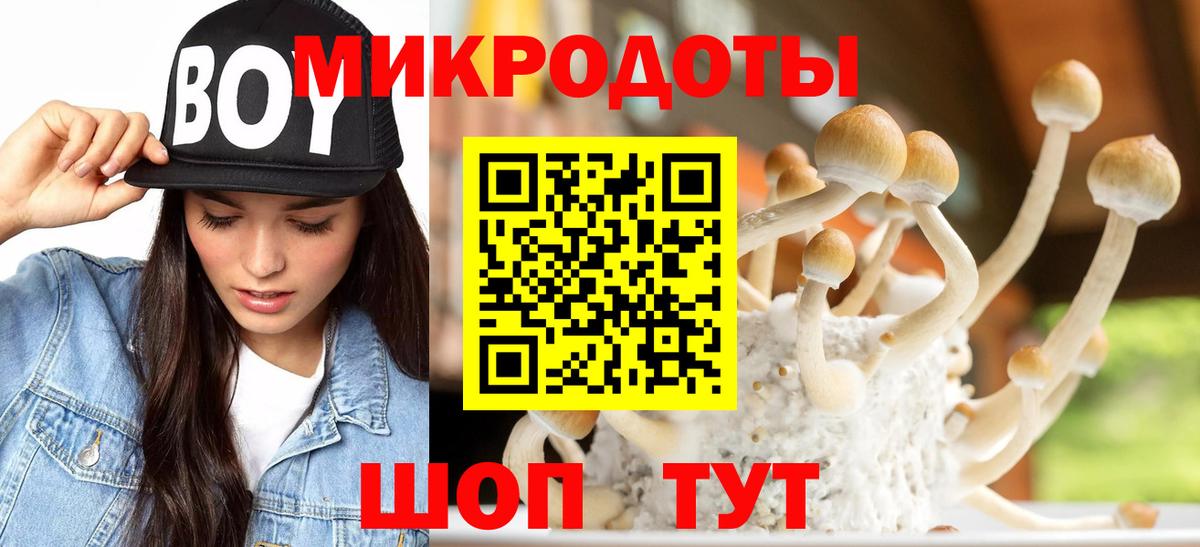 Псилоцибиновые грибы мицелий Иваново