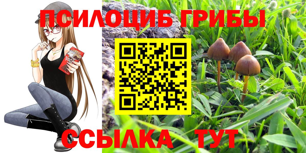 Иваново  Псилоцибиновые грибы мицелий  Вход с VPN 
